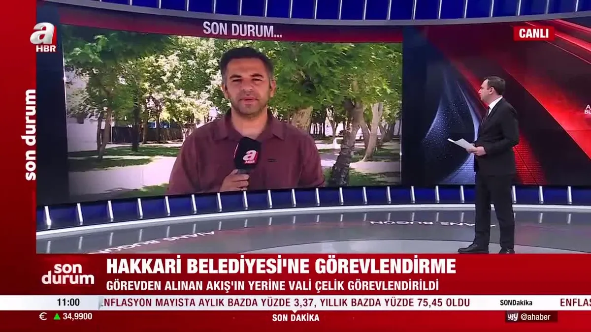 Hakkari Belediyesi SON DAKİKA: Mehmet Sıddık Akış görevden alındı! Yerine Hakkari Valisi Ali Çelik görevlendirildi!
