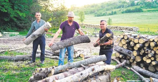 Kastamonu’da anne ayı ile iki yavrusu orman işçilerini rehin aldı