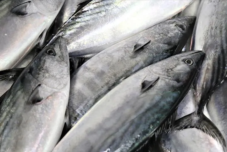 BALIK demek ŞIFA demek