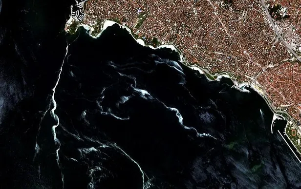 Son dakika: Bakan Kurum açıkladı: Toplamda 733,1 metreküp müsilajı bertarafa gönderdik-1