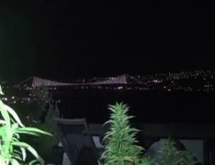 Ünlü oyuncunun Boğaz manzaralı esrar tarlası