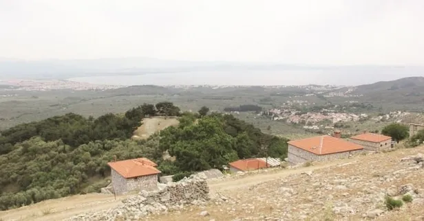 “Zeytinlikleri imara açtırmayız” diyen CHP'nin maskesi düştü! Ekrem İmamoğlu resmen talan etmiş-4