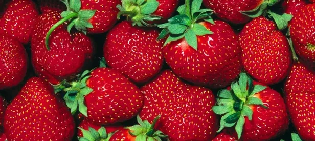 Çilek-yumurta-şeftali tatil hastalıkları bitti!