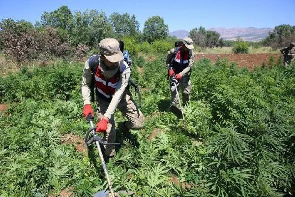 Son dakika: Diyarbakır'da narko-terör operasyonu! 33 şüpheli mahkemece tutuklandı-2
