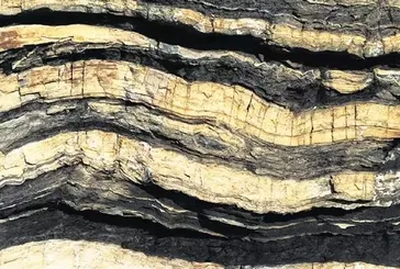 Gabar ve Karadeniz’den sonra yeni müjde