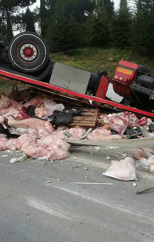 TEM'de feci kaza! Et yüklü tır takla attı!