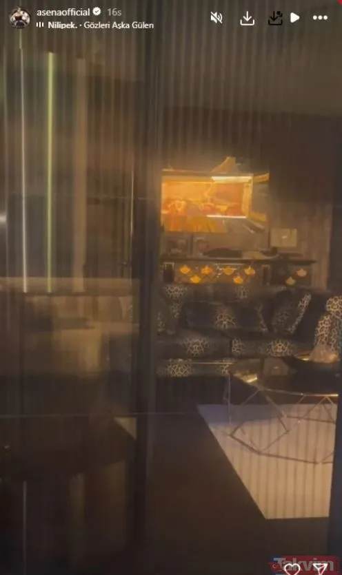 Pılını pırtını toplayıp Almanya’ya yerleşen oryantal Asena’nın evine bakın! - 13