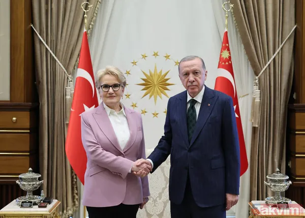 Anayasadan Türkiye meselelerine... Erdoğan - Akşener zirvesinin perde arkası ve İYİ Parti'deki yansımaları! Aylar önce ne rica etti? - 14