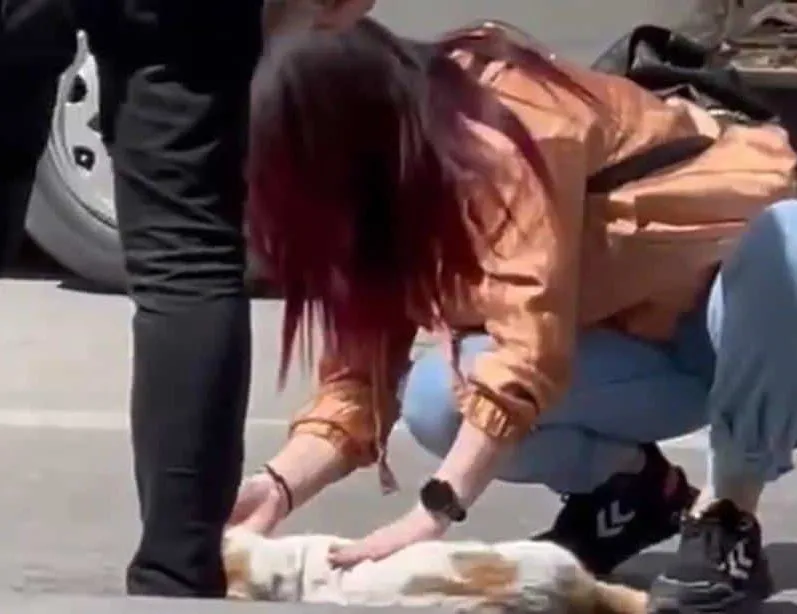 Kırşehir’de yine bir hayvan skandalı: Bir vatandaş kedinin yardımına böyle koştu