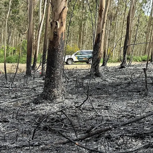 Yangınlar için av yasağı geliyor