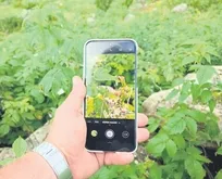 Akıllı telefonların süper makro kameraları doğa yürüyüşlerinde mikro dünyayı keşfetmeyi kolaylaştırıyor