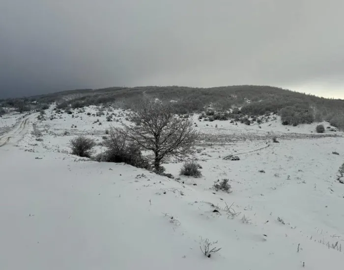 beklenen-kar-yagisi-basladi-vatandaslar-beyaz-ortuyle-uyandi-yollar-ulasima-kapandi-a-haber-muhabirleri-sahada-1702816438673.jpeg Beklenen kar yağışı başladı | Cadde ve sokaklar beyaza büründü yollar ulaşıma kapandı! A Haber muhabirleri sahada: İşte yurttan görüntüler-17
