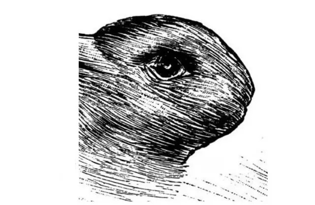 ordek-tavsan-bu-resimde-ilk-ne-gordun-kisilik-testiyle-en-gizli-yonunu-coz-1724327182894.jpg Ördek tavşan bu resimde ilk ne gördün? Kişilik testiyle en gizli yönünü çöz!-2