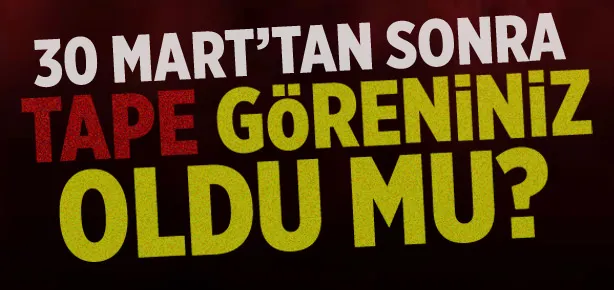 Mesele gerçekten yolsuzluk muymuş?