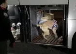 Yolcu otobüsünde yapılan aramada 3 kilo 400 gram uyuşturucu ele geçirildi