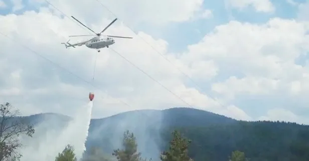 Kütahya Tavşanlı'da orman yangını! Havadan karadan müdahale...