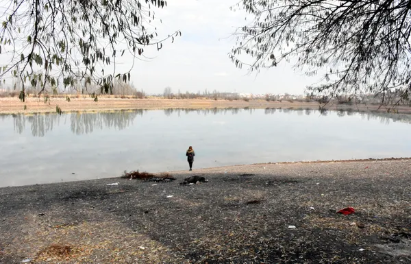 sivas-serpincik-goletinde-su-25-metre-cekildi-1607346882153.jpg Sivas Serpincik Göleti'nde su 25 metre çekildi-8