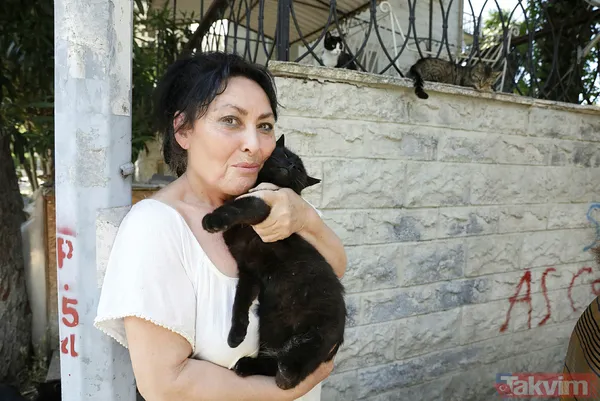 Büyükada'da salgın! 4 ayda 700 kedi Feline Enfeksiyoz Peritonit (FIP) hastalığından öldü! Hayvanseverler CHP'li belediyeyi kayıt tutmadığı için suçladı - 39