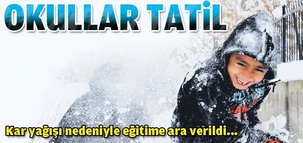 Twitter karı