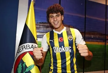 Omar Fayed, Fenerbahçe’de