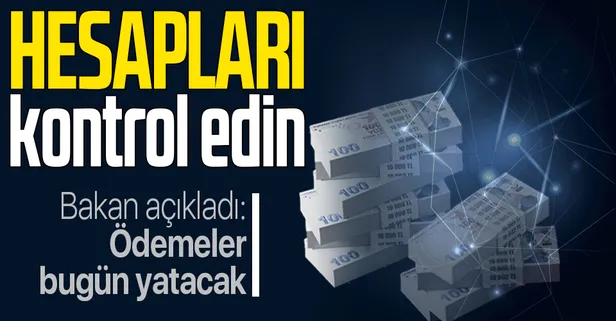 Şubat ayı Nakdi Ücret Desteği ödemeleri bugün hesaplara yatıyor!