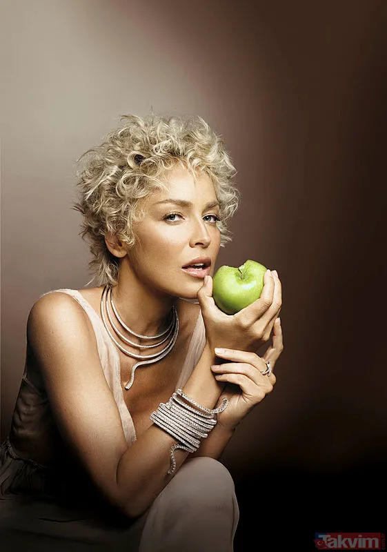 Dünyaca ünlü oyuncu Sharon Stone'a Bodrum’da 'Uluslararası İkon Ödülü' verildi! Kurtlar Vadisi itirafı çok konuşulmuştu... - 17