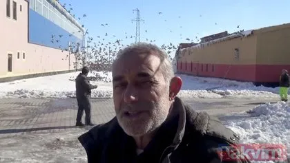 Muş’ta aç kalan kuşlar yem fabrikasına akın etti