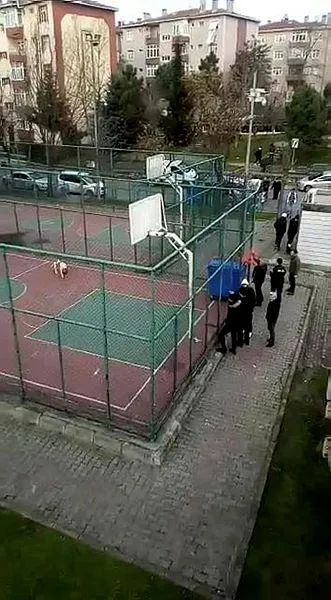 turkiye-minik-asiyeyi-konusurken-bir-pitbull-vahseti-daha-sultangazide-15-ve-17-yasindaki-iki-cocuk-yaralandi-1640532230813.jpeg Türkiye minik Asiye'yi konuşurken bir Pitbull vahşeti daha! Sultangazi'de 15 ve 17 yaşındaki iki çocuk yaralandı-4