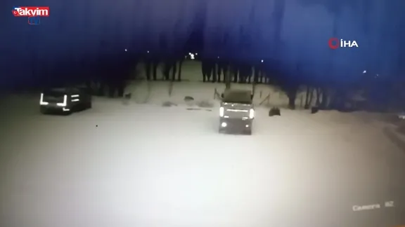 Bayburt’ta kurt sürüsü köpeği böyle telef etti