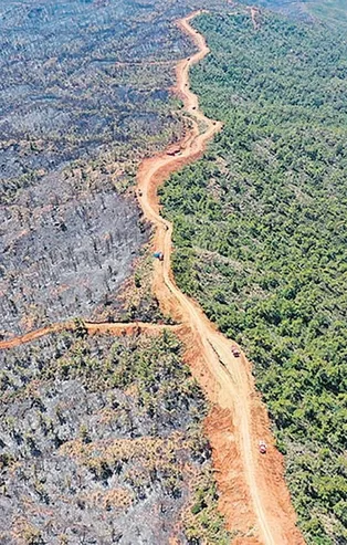 Marmaris'teki yangında 4500 hektarlık alan telef oldu! Ormanın daha az zarar görmesini hayat koridoru engelledi