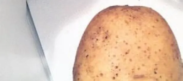 Mimara patates şoku