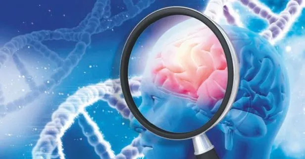 Almanya'daki bilim insanları açıkladı: Adet döngüsü beyni değiştirir