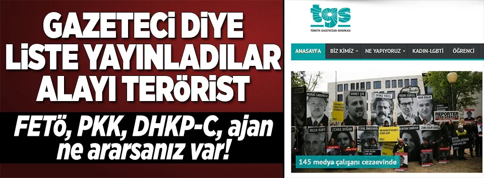 Gazeteci diye liste yayınladılar alayı terörist!