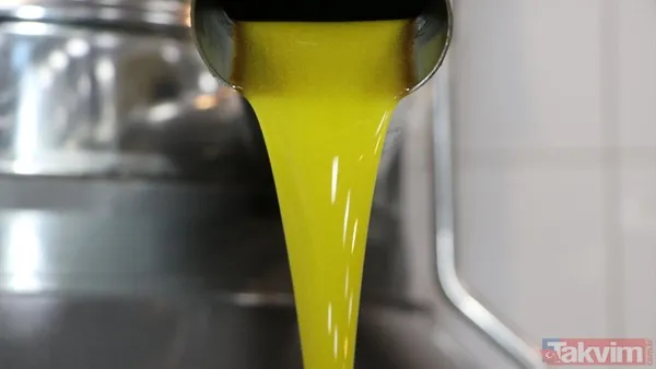 Komili Riviera Zeytinyağı (2 Litre): 576,95 Tl'den 499,95 Tl'ye Düşürüldü. Yudum Egemden Naturel Sızma Zeytinyağı Yoğun Lezzet (2 Litre): 604,90 Tl'den 469,95...