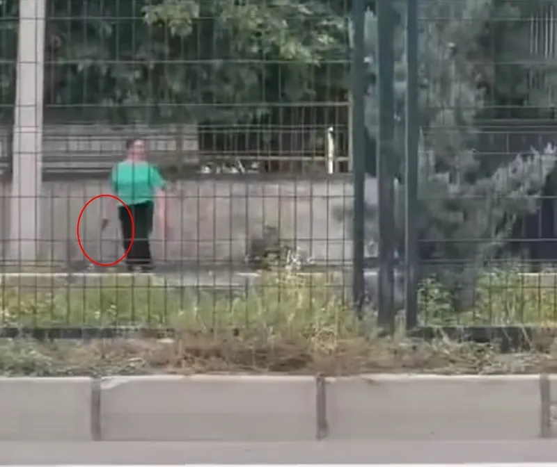 Son dakika: Mardin'de okuldan atılan kız öğrenci silahla okulu bastı-4