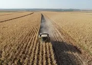 Son dakika: Tarım ve Orman Bakanlığından çiftçiye hibe desteği! İşte tohum hibesi yapılacak 21 il ve detaylar...