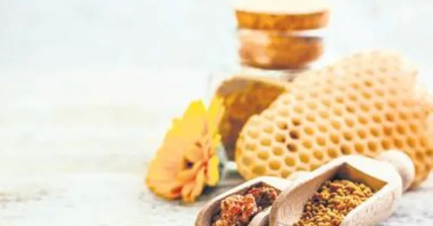 KOAH’ın ilacı propolis