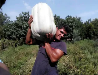 Görenler gözlerine inanamadı! Tek başına...