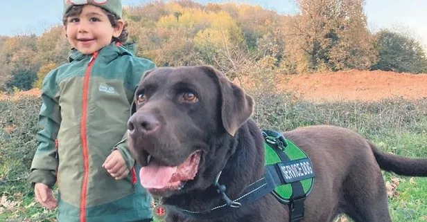 Ölümden dönen minik Ata’yı terapi köpeği Mocha hayata döndürdü