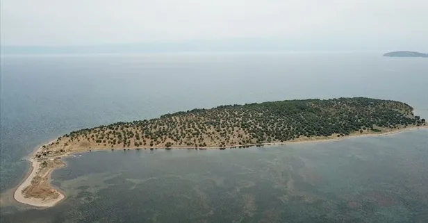 Çiçek Adası nerede? Hülya Avşar’ın satın aldığı Çiçek Adası nereye bağlı?