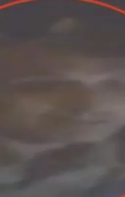 Kayıp Albay nerede?