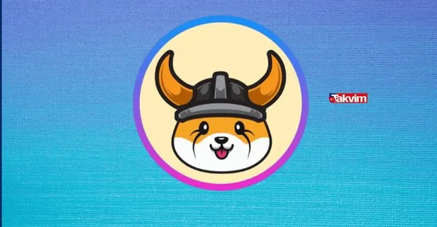 Floki Coin nedir, nasıl alınır?