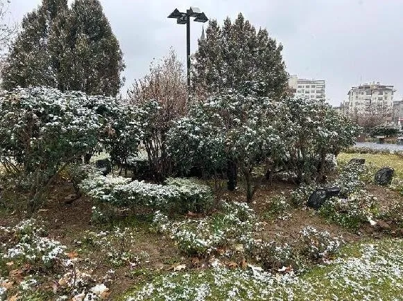 beklenen-kar-yagisi-basladi-vatandaslar-beyaz-ortuyle-uyandi-yollar-ulasima-kapandi-a-haber-muhabirleri-sahada-1702816493398.jpeg Beklenen kar yağışı başladı | Cadde ve sokaklar beyaza büründü yollar ulaşıma kapandı! A Haber muhabirleri sahada: İşte yurttan görüntüler-18