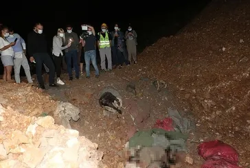 Altındağ'da korkunç manzara: 11 köpek ölü  bulundu! Soruşturma başlatıldı