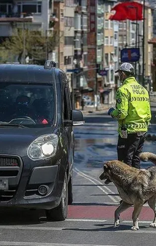 Son dakika: YKS nedeniyle 81 ilde sokağa çıkma kısıtlaması başladı! İşte kısıtlamanın bitiş saati