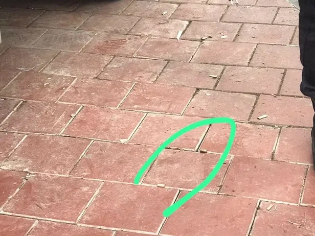 goz-donmus-chpliler-kan-akitti-gaziantepte-ak-partililere-yapilan-silahli-ve-sopali-saldirinin-goruntuleri-ort-1683665538476.jpeg Gözü dönmüş CHP'liler kan akıttı! Gaziantep'te AK Partililere yapılan silahlı ve sopalı saldırının görüntüleri ortaya çıktı-4