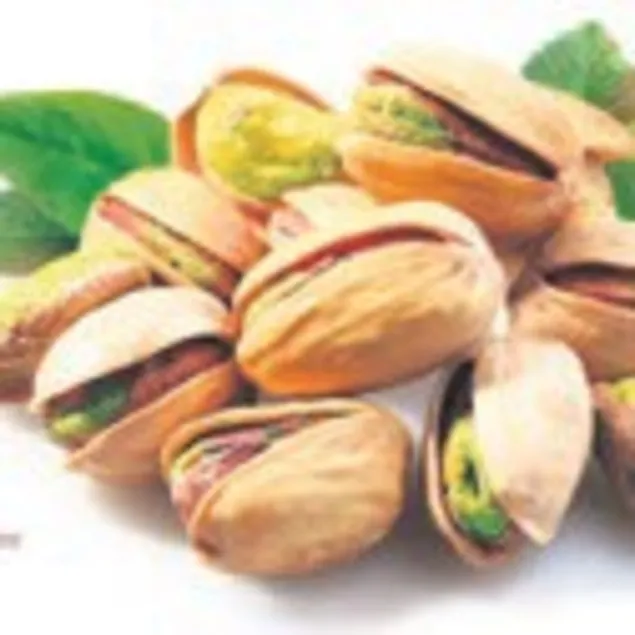 Böbreklere Antep fıstığı