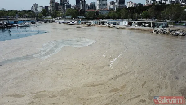 İstanbul Fenerbahçe Sahili deniz salyası kaplandı - 2