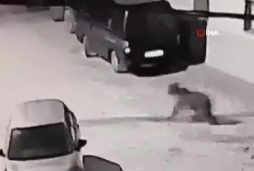 Bursa İznik'te ayı köye indi!