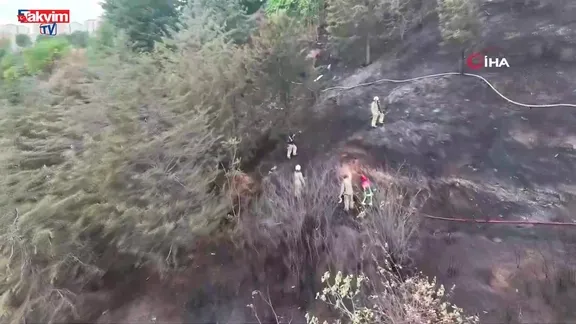 Kağıthane’de ağaçlık alan alev alev yandı